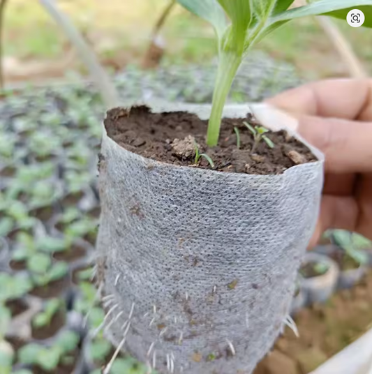 100-500Pcs Biodegradable Nursery Bag Plant Grow Bags